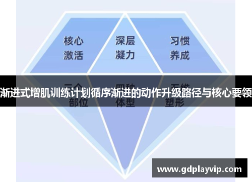 渐进式增肌训练计划循序渐进的动作升级路径与核心要领